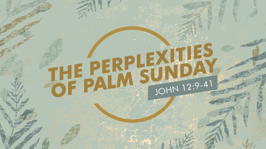 The Perplexities of Palm Sunday